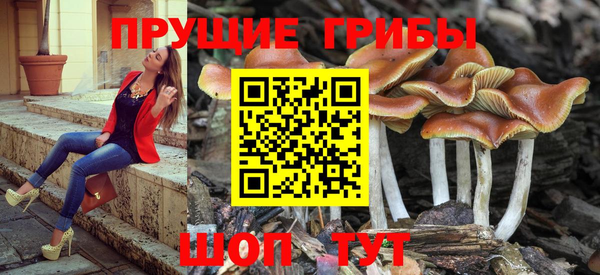 Татарск  Галлюциногенные грибы мицелий  Вход с VPN  Псилоцибиновые грибы Cubensis 